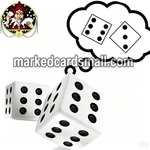 Voice Dice for Magic Show & Casino Game