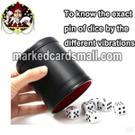 Inductive Casino Magic Cheating Dice