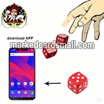 Voice Dice for Magic Show & Casino Game