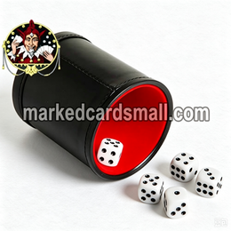 Dice Cheating Bowl with Hidden Camera