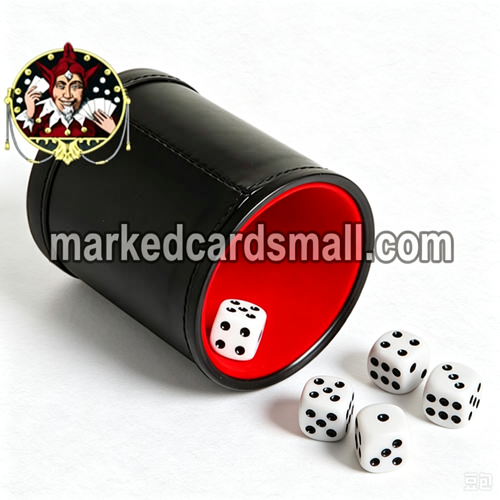Dice Cheating Bowl with Hidden Camera